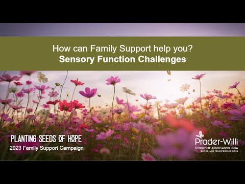 How Can Family Support Help You: Sensory Function Challenges