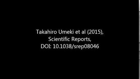 Scientific Reports : Dynamics of microdroplets over the surface of hot water
