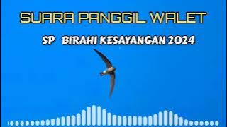 SUARA PANGGIL WALET || SP BIRAHI KESAYANGAN 2024 Editor EDIR WALET | SP TERBARU 2024