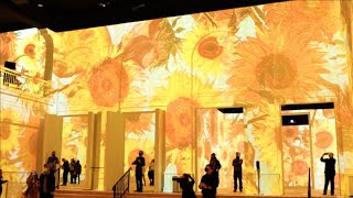 Immersive Van Gogh Exhibit Gets In The Mix with HK