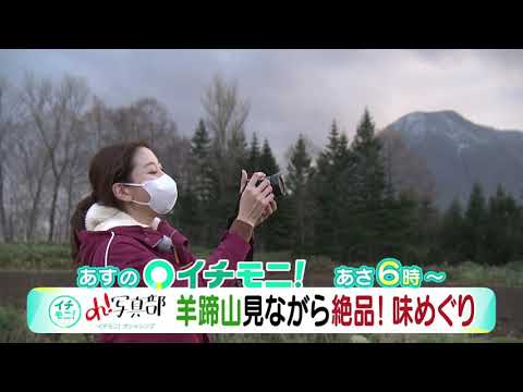 【HTB公式】11月17日(水)イチモニ！予告