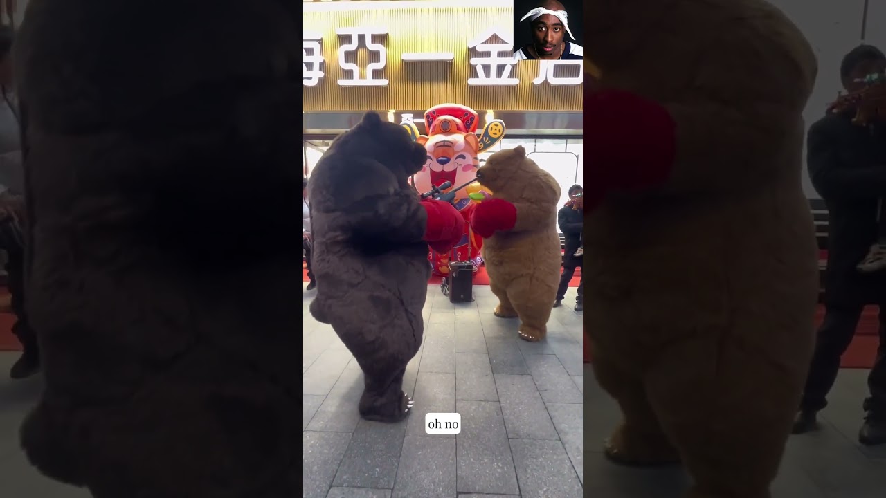 bear war