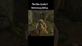 Fighting Against 2 Giants At Once 🚀🎯 In Legendary #skyrim #pcgaming Elder Scrolls