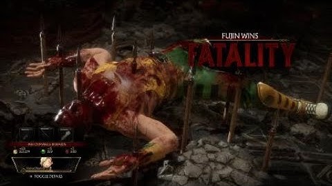 MK 11: Shaolin Trap Dungeon Stage Fatality