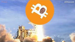 Bitcoin pls go to moon 1hr