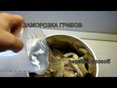 Заморозка грибов на зиму. СПОСОБ заморозки с варкой. Заготовка грибов на зиму. видео