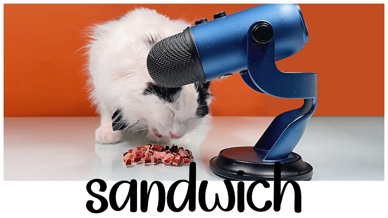 cat eating chicken sandwich cat eating asmr cat asmr PET ASMR