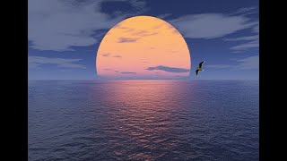Multi Channel's Broadcast Soon Live 24/7 Relaxation Meditation Soft Music screenshot 2