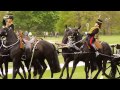 41-gun salute to mark the Queens 91st birthday