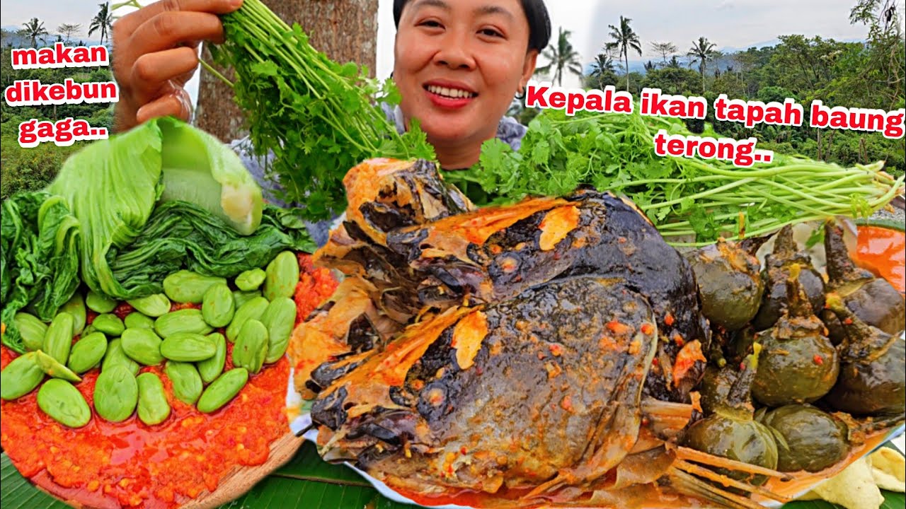 GULAI PEDAS KEPALA IKAN TAPAH BAUNG TERONG SAMBAL DAN LALAPAN.//SUASANA BARU