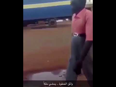 واثق الخطوة بمشي ملكا ههههههههه