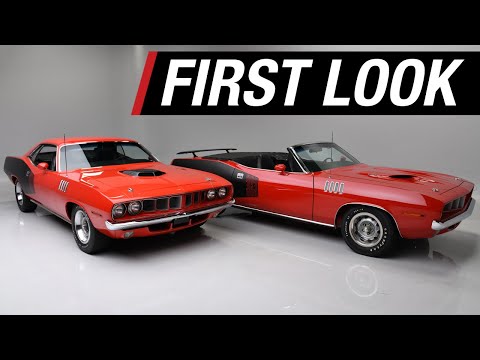 FIRST LOOK -