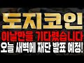 [도지코인] 이날만을 기다렸습니다 오늘 새벽에 재단 발표 예정!