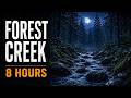 Forest Creek at Night 🌧️ Deep Sleep Rain Sounds by a Woodland Stream | 8 Hours