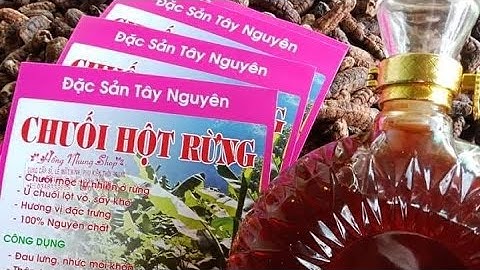 chuối hột rừng tây nguyên@hongnhungvlog