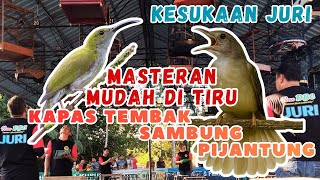 KAPAS TEMBAK SAMBUNG PIJANTUNG‼️ MASTERAN BURUNG FAVORIT JURI🔥 SUARA JERNIH & MUDAH DITIRU‼️