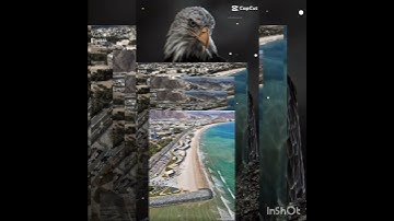 الآية 28- 29 من سورة الرعد تلاوة فضيلة الشيخ عبدالباسط عبدالصمد رحمه الله