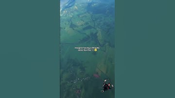 Eye catching Shopify website design 😯 For services link in bio ✅ #shopify #shopifystoredesign