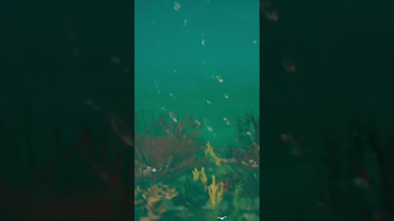 Shark: HELLO THERE! 🙌 | Far Cry 6