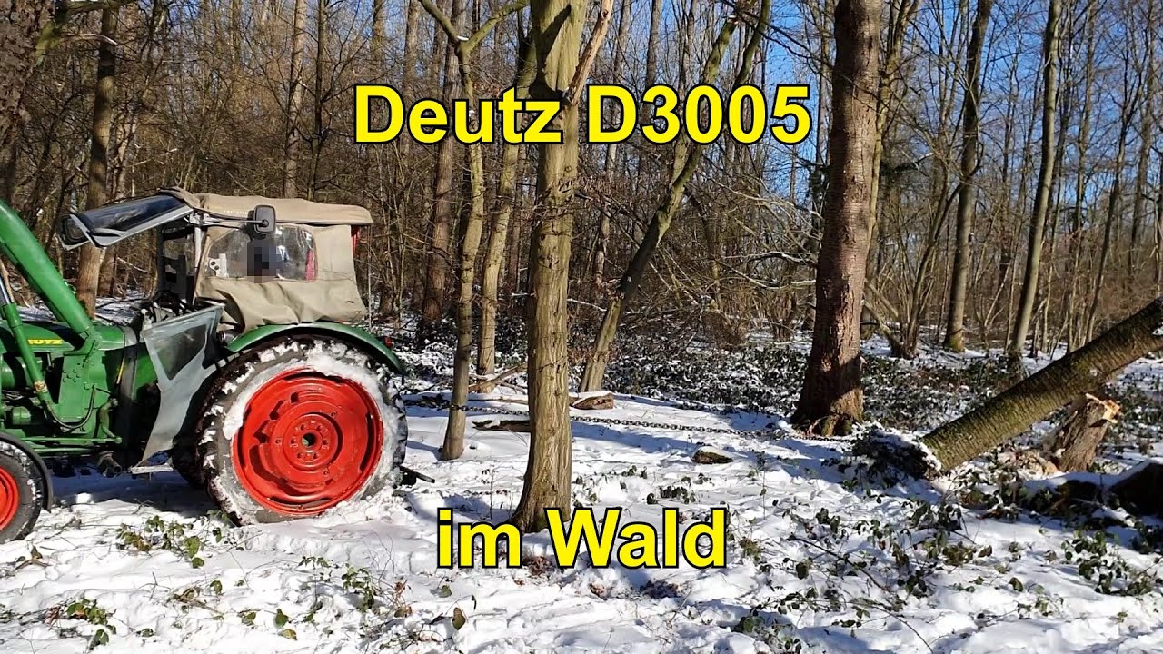 Deutz D3005 im Wald