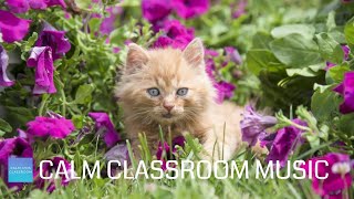 Relaxing Music For Clroom Work - Cute Kittens - Calm Clroom Music For Children