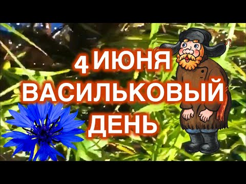 4 июня Васильковый день, Василиск. Нельзя сеять