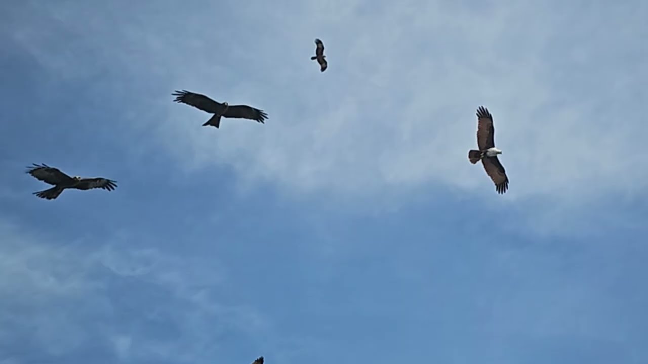 Air show  Trivandrum 