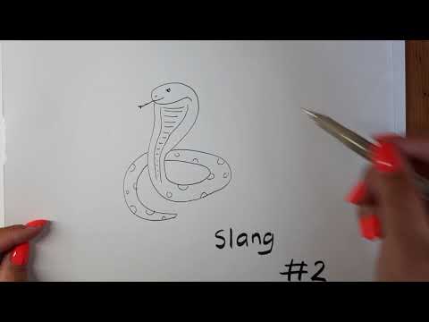 Teken mee met juf Lisa: slang