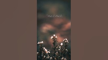 ما تيسر من سورة الروم | القارئ رعد الكردي ،،، 💙☔