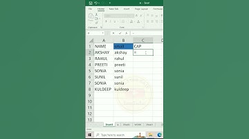 Excel data name capital small tricks #excel #excelshortcuts #exceltips #excelrow #shortcut #capital