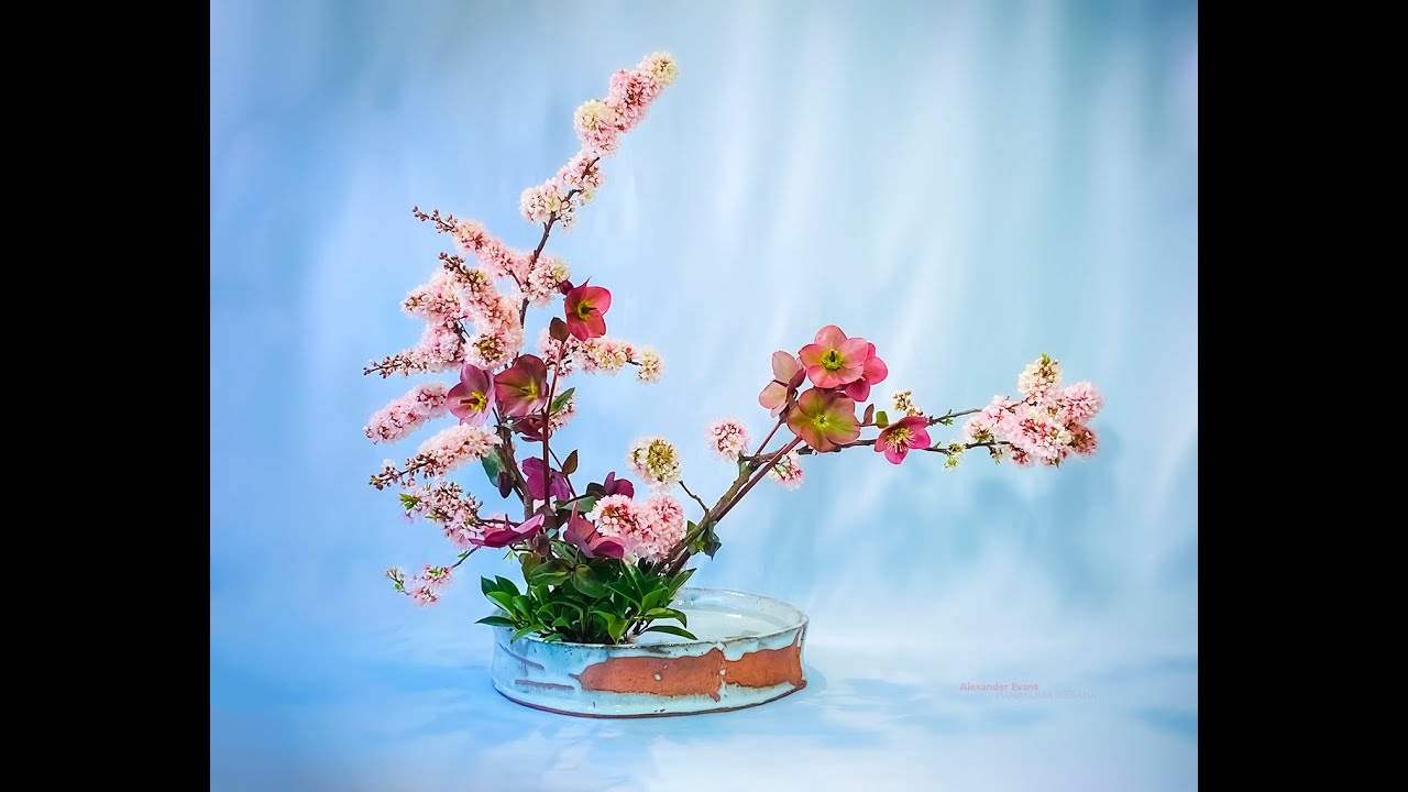 Alexander Evans 2020   a year in ikebana