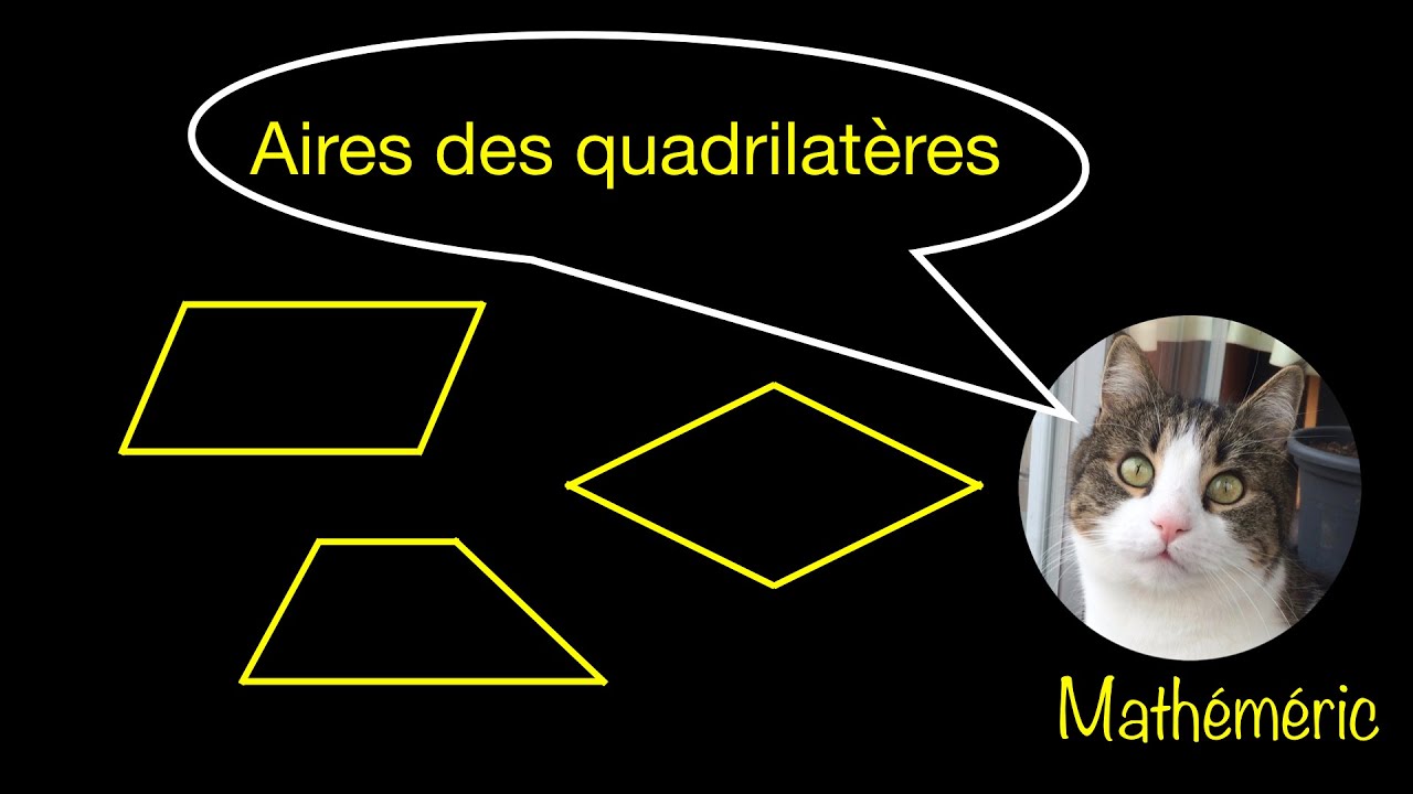 Aires des quadrilatères - rectangle, parallélogramme, trapèze, losange - Mathéméric