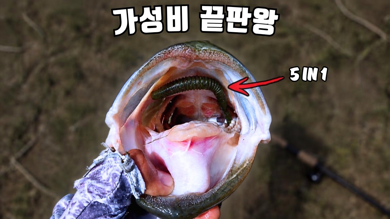 이 웜은 찢어져도 버리면 안 됩니다!
