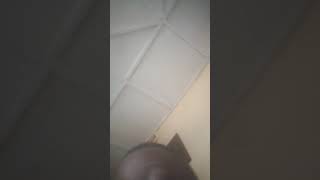 VID 20201018 100403