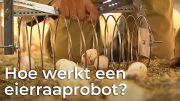 Wat is een eierraaprobot? | Boer zoekt Machine | Het Klokhuis