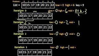 Celebrity Binary Search Intuition Wealth