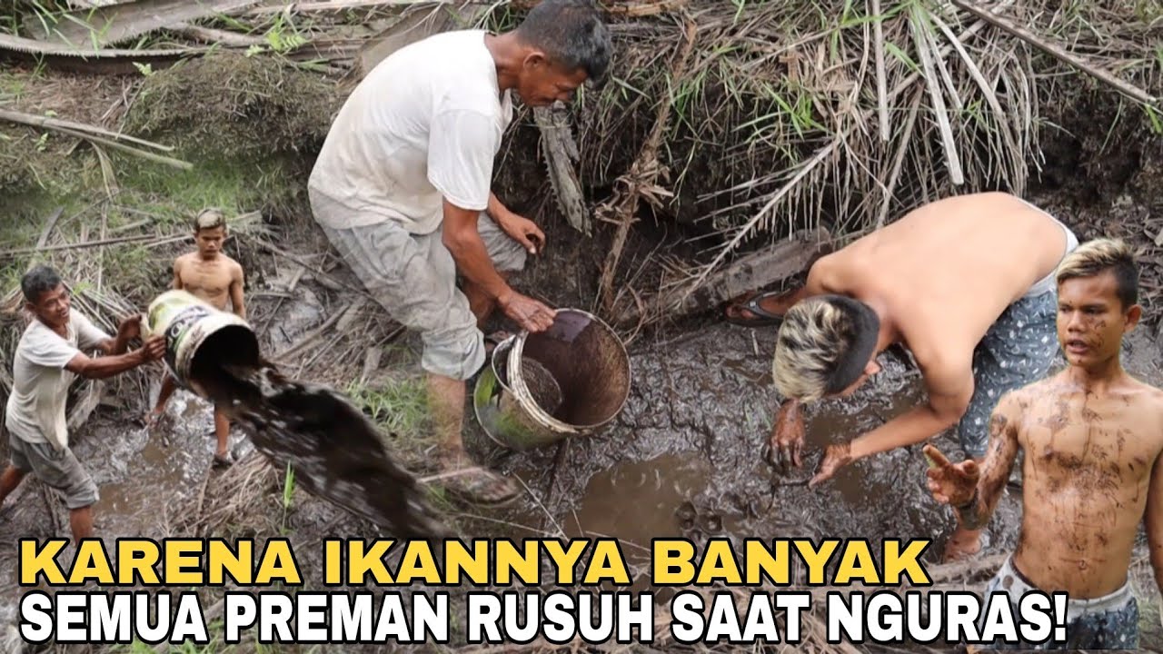 Semua Preman Rusuh Saat Nguras Karena Ikan nya Banyak