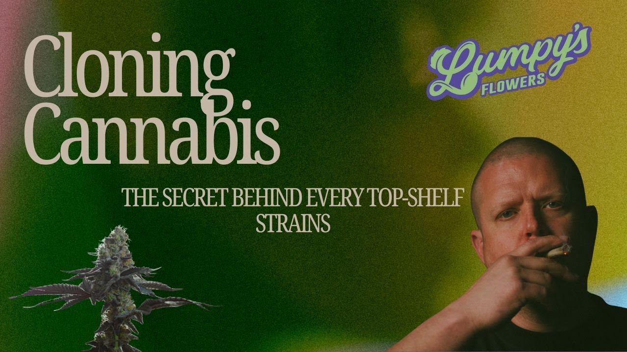 Cloning - FULL Episode: 1 of Crafting Cannabis by Lumpy's Flowers