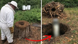 Download Lagu [Full Story] Beekeeper Noticed Hive Swarming Stump, What Was Beneath Led to Five Arrests! MP3