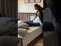 #shorts #short #shortsviral #ytshortsindia #ytshort #ytviral #ytshortsvideo #yt_shorts #viralshorts