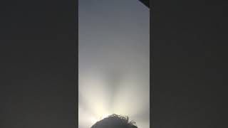 Detroit Grand Prix Reaction