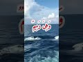 الشيخ سيد سعيد قال من يحيي العظام وهي رميم