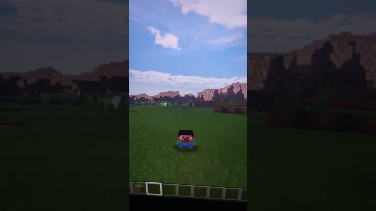 Minecraft mini Steve skin is crazy