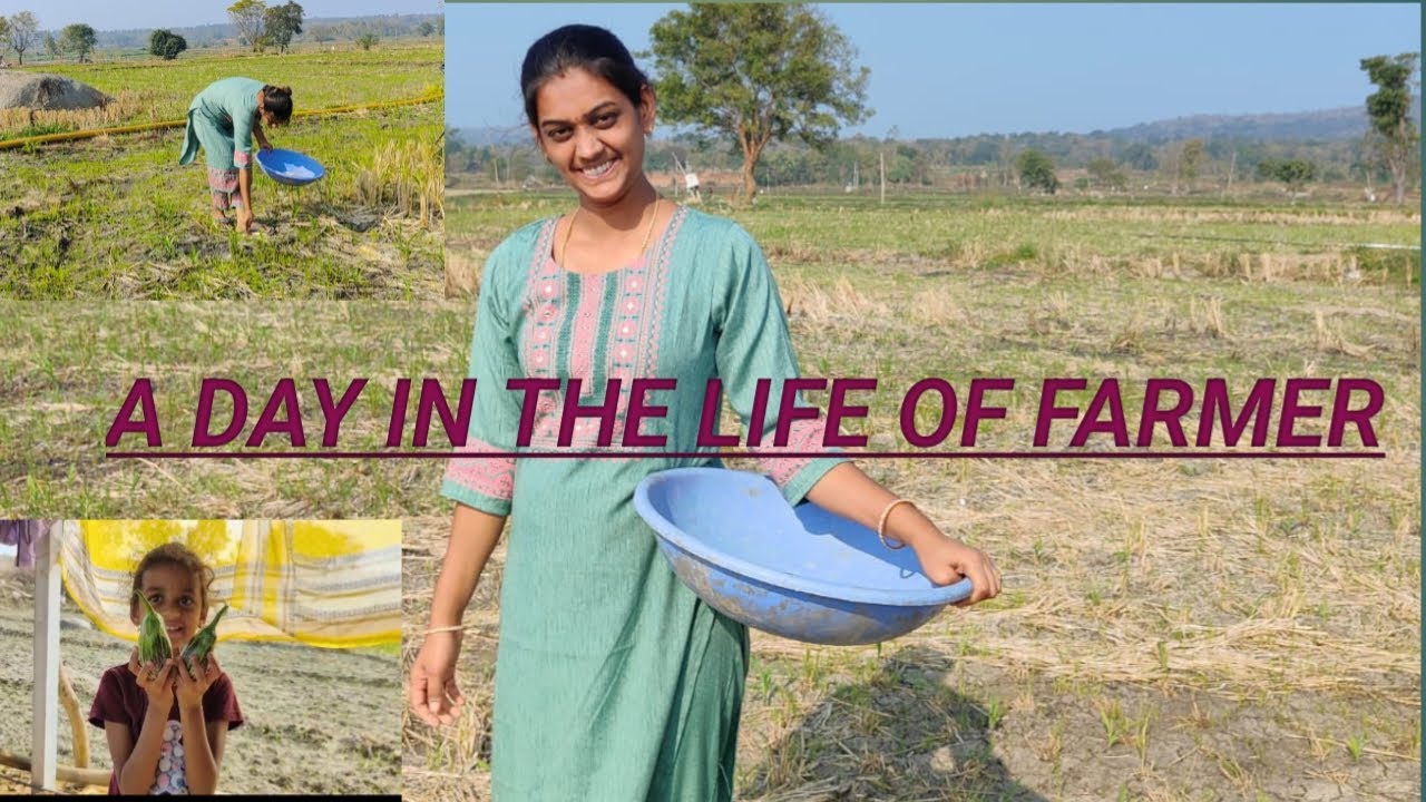 A day in the life of farmer - YouTube