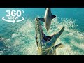 DINOSAUR MOSASAURUS vs SHARK - 360° Jurassic World Experience