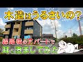 【木造って防音どうなの?】線路真横の新築木造2LDK賃貸アパートはどれだけうるさいかゆっくり調べてみた 【不動産屋”ラムエイ”】 ep60