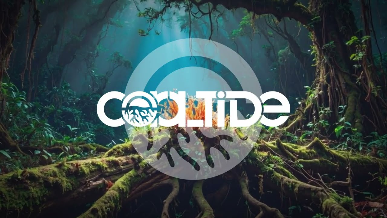 Hernan Cerbello - The Last Call (Fabian Argomedo Remix)