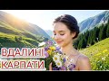 Вдалині Карпати Хіт TikTok версія 2 зі скрипкою