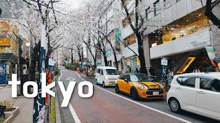 Living in Japan Vlog 8 🇯🇵 | Shibuya, Cherry Blossoms, Sakura Stage 2026