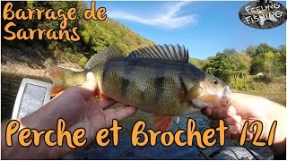 Grosse perche et brochet en float tube a Sarrans 2